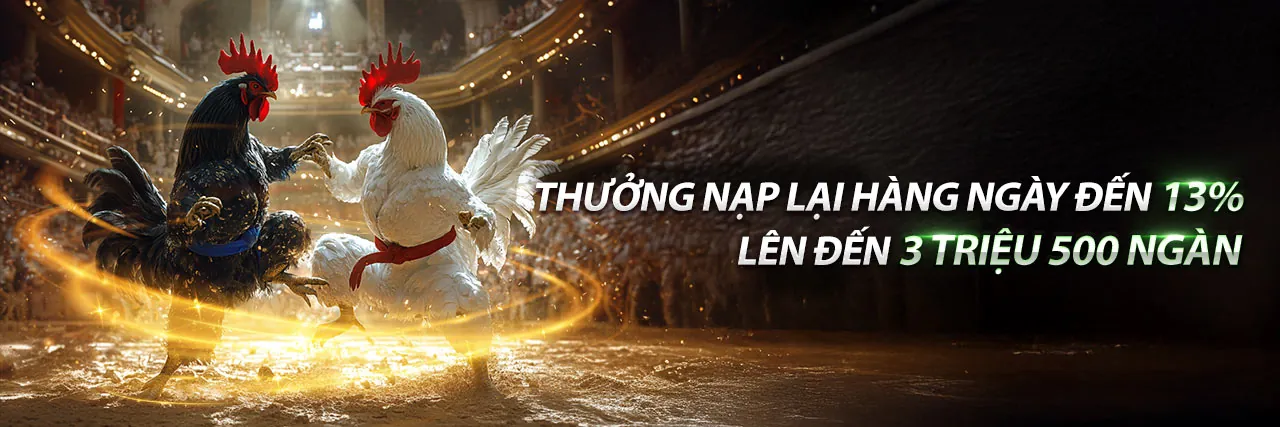 Nền tảng b888 với các trò chơi đa dạng và ưu đãi hấp dẫn