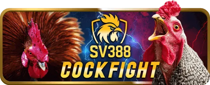 Tỷ lệ kèo b888 hấp dẫn